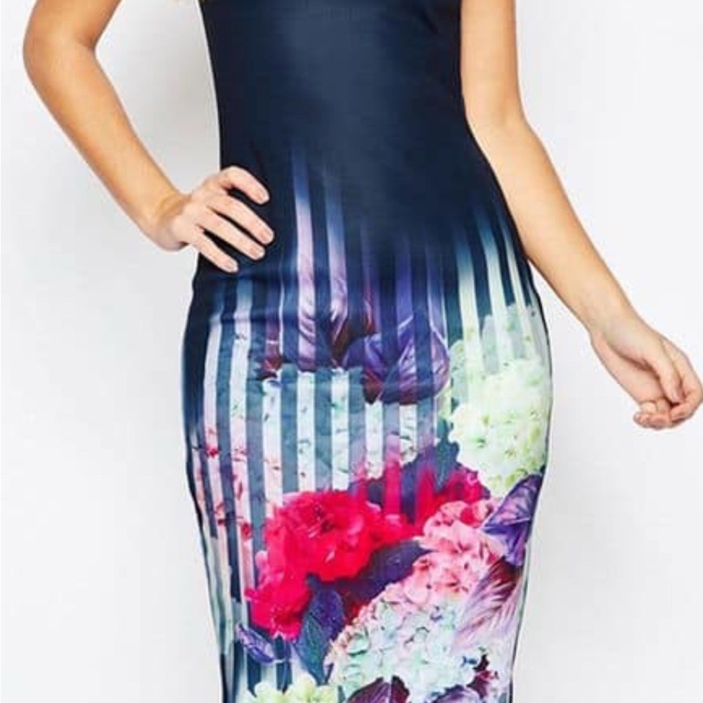 Ted Baker size 4 (US 8-10) Rimena Vespera Hydrangea midi pencil dress. - Picture 6 of 9